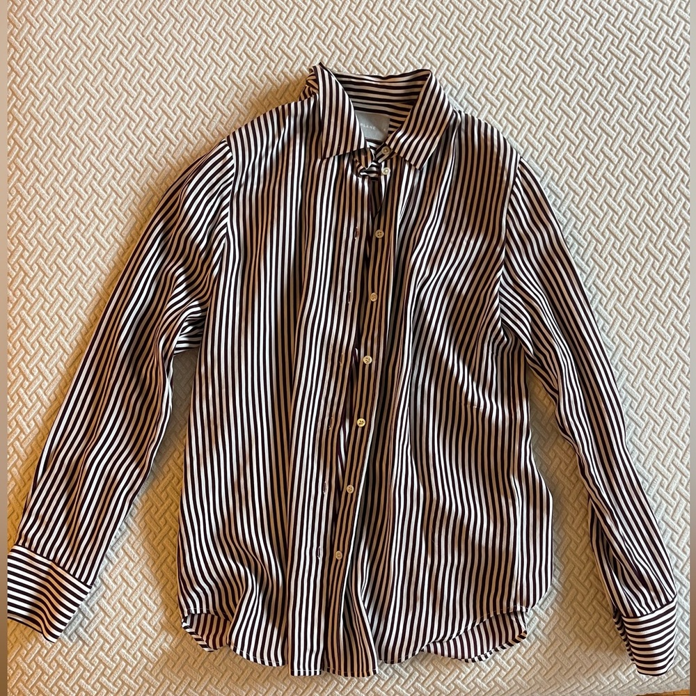 Everlane burgundy striped silk button down shirt